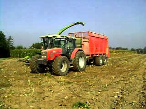 Willen F - Oudenaarde