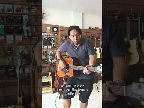 Martin Thinline 332 (Passive) VS L.R.Baggs Element (Active) Piezo Comparison 💥🥊