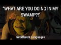 WHAT ARE YOU DOING IN MY SWAMP In Different Languages Shrek 2001