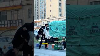 Download lagu They Fight Every Day, But He Always Protects His Sister ❤️#shorts #funny #siblings #family mp3