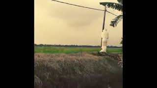 Download lagu Random para tolol terbaru 2019 mp3 Download lagu Random para tolol terbaru 2019 mp3