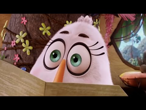 Angry Birds Terrence meme