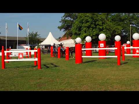 Fahrturnier Ostenfelde 21.8.2022