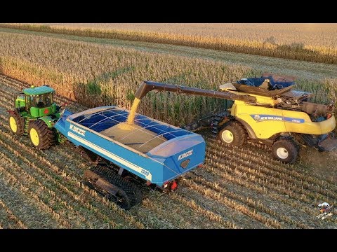 Urbana Illinois CORN HARVEST 2019