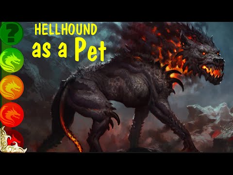 Would a Hellhound Make a Good Pet for you?