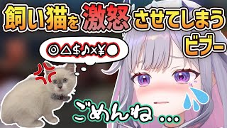 【JP/ENG SUB】John Cat激怒！ビブーやらかす【ホロライブ切り抜き/古石ビジュー/ホロライブEN】