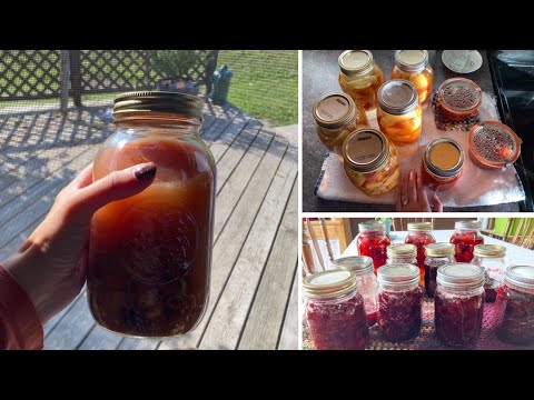 Play video on YouTube