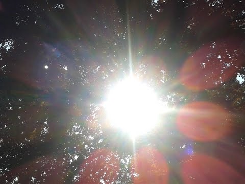 SPECiMèN Mc : M® PERSONNE              HD