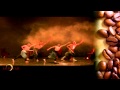 Latin Café - Trailer 2012 
