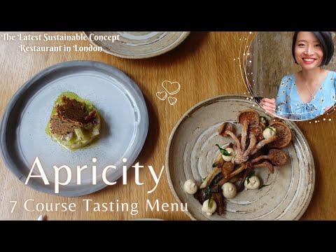 Zero-waste Tasting Menu at Apricity - The Sustainable Restaurant in London
