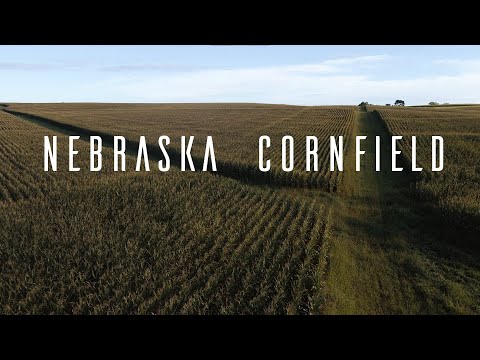 Nebraska Cornfield - Cinematic drone