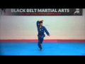 2nd Dan Black Belt Poomsae -Gumkang- - Taekwondo