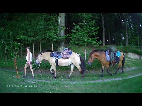 Kniha: S koňmi do Santiaga