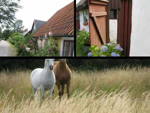 Discover Boste, old fishing village