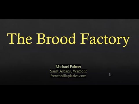 Mike Palmer's Brood Factories, 4/29/2022