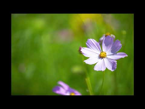 Debut De Soiree - nuit de folie