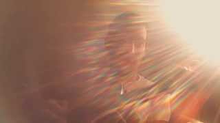 Wasp Nest - The National