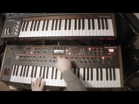 Prophet Sunday with the DSI Prophet 12- Episode 1: Vintage Sawtooth Pad