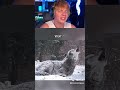How Different Animals Scream