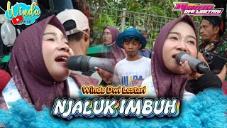 Download lagu JALUK IMBUH || WINDA DWI LESTARI || ANDI PUTRA ONE || KEDIRI RT 10 BLOK A BINONG mp3