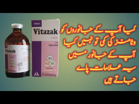 Vitamin AD3 use in animals!! Blindness treatment in calf hindi urdu
