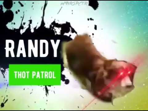 Randy : Thot patrol (MEME)