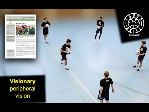 Visionary (peripheral vision)