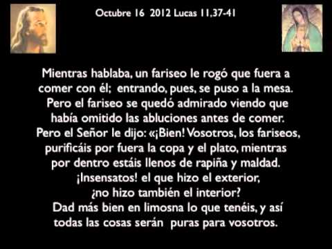Evangelio 16 octubre 2012