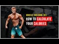 Bodybuilding 101 - How to Calculate Your Calories