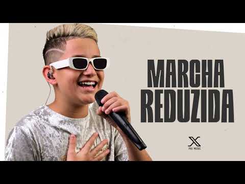 BOTA MARCHA REDUZIDA QUE NOIS SOBE DEVAGAR - Pedrinho Pisadinha ( Piseiro Paredão )