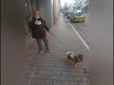 let 's go Dogs Lavinia instangram febbraio 2021 vs avril lavigne