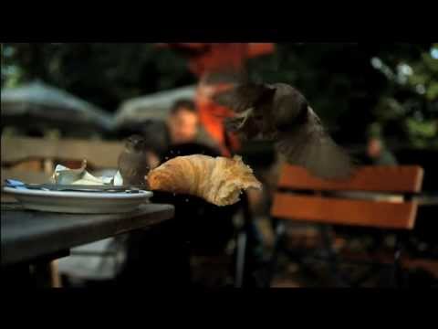 WILDES BERLIN - DER FILM Trailer 2013