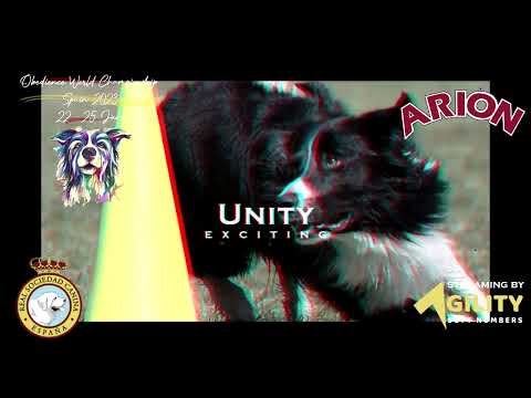 INTRO OBEDIENCE FCI WORLD CHAMPIONSHIP - SPAIN 2023