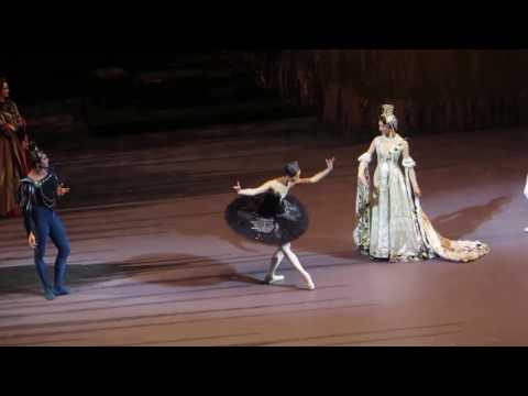 Ротбарт - Николай Цискаридзе 25 октября 2012 г Большой Театр