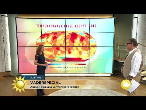 Meteorologen varnar: "Folk ska vara oroliga" - Nyhetsmorgon (TV4)