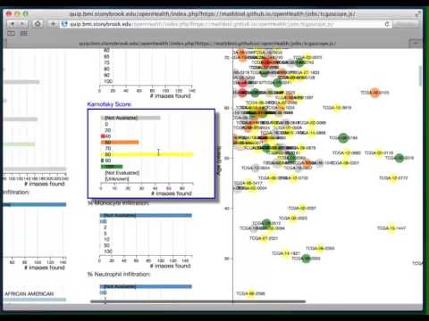 Tools to Analyze Morphology and Spatially Mapped Molecular Data