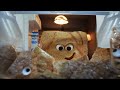 Cinnamon Toast Crunch Must Cinnadust Commercials Definitive Compilation