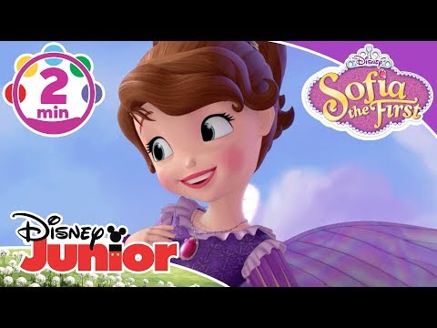 Sofia The First | The Fairy Way Music Video 🎶 | Disney Kids