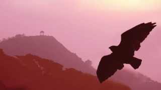 Download lagu Pan Flute - El Condor Pasa // Instrumental Worldhits mp3