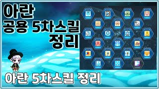 아란 공용 5차스킬 정리