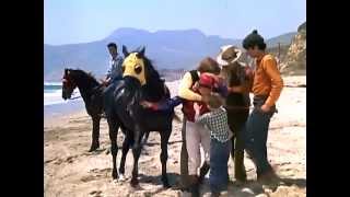 The Monkees - All the King&#39;s Horses