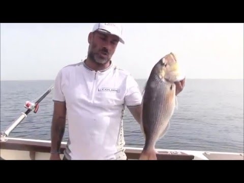 Lanseta Colmic Pro Light White Series 2.14m 12-20lb