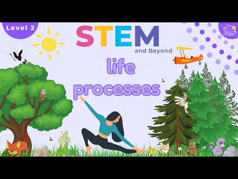 Life Processes | Science For Kids | STEM Home Learning