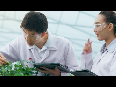 Dok Bua Ku | Personal Care Factory Version [English Version]