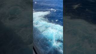 Waves #cruise #travelvlog #cruisetour #cruiseship #travel #travelquotes