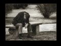 Estabas ahi - Alejandro fernandez