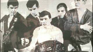 dave clark five                   hurting inside                          true stereo