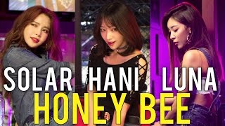 HANI x LUNA x SOLAR | HONEY BEE MV Reaction