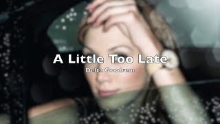 Delta Goodrem Lyric Video - A Little Too Late