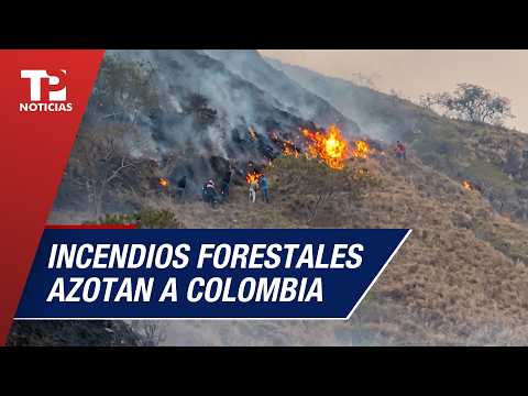 Alerta por 18 incendios forestales en Colombia: crisis en Valle del Cauca